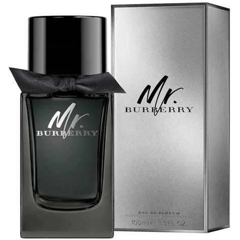 mr burberry australia|Burberry mr Burberry 100ml.